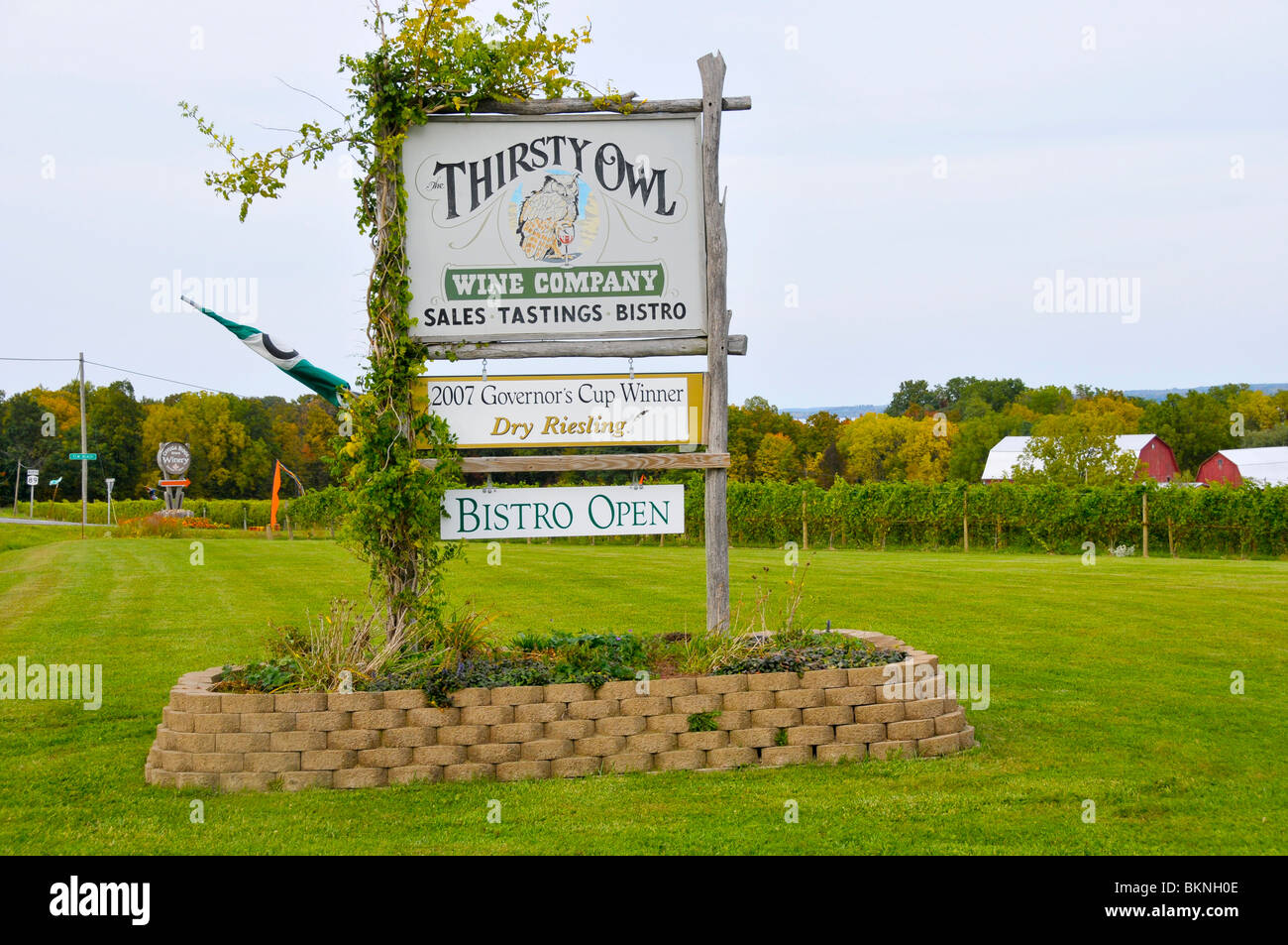 Weingut in Finger Lakes Region New York Stockfoto