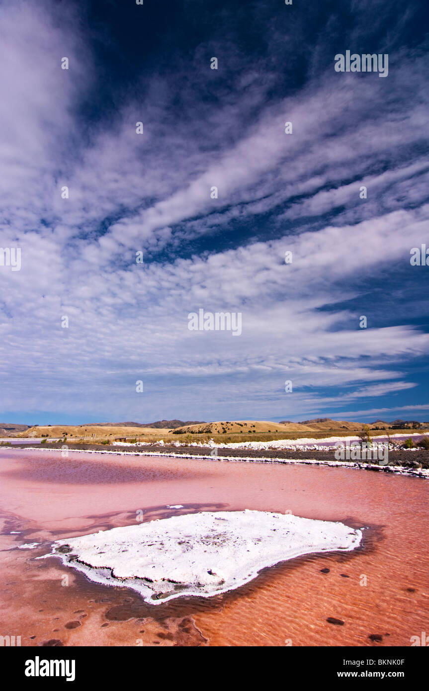 Kristallisation Teiche am Lake Grassmere Saline, Marlborough, Neuseeland. Stockfoto