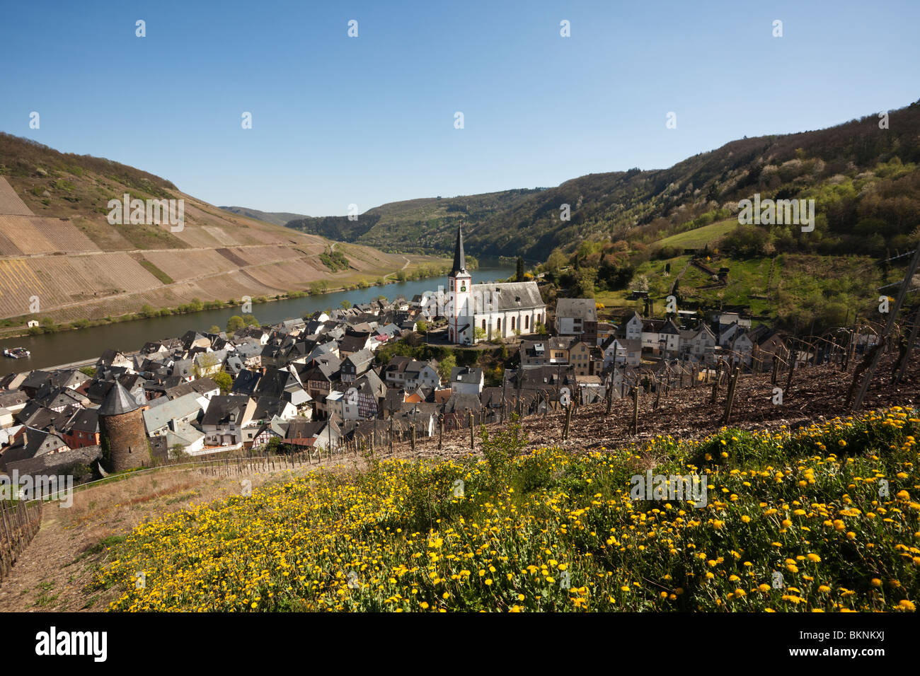 Briedel, kleinen Dorf in das Moseltal Stockfoto