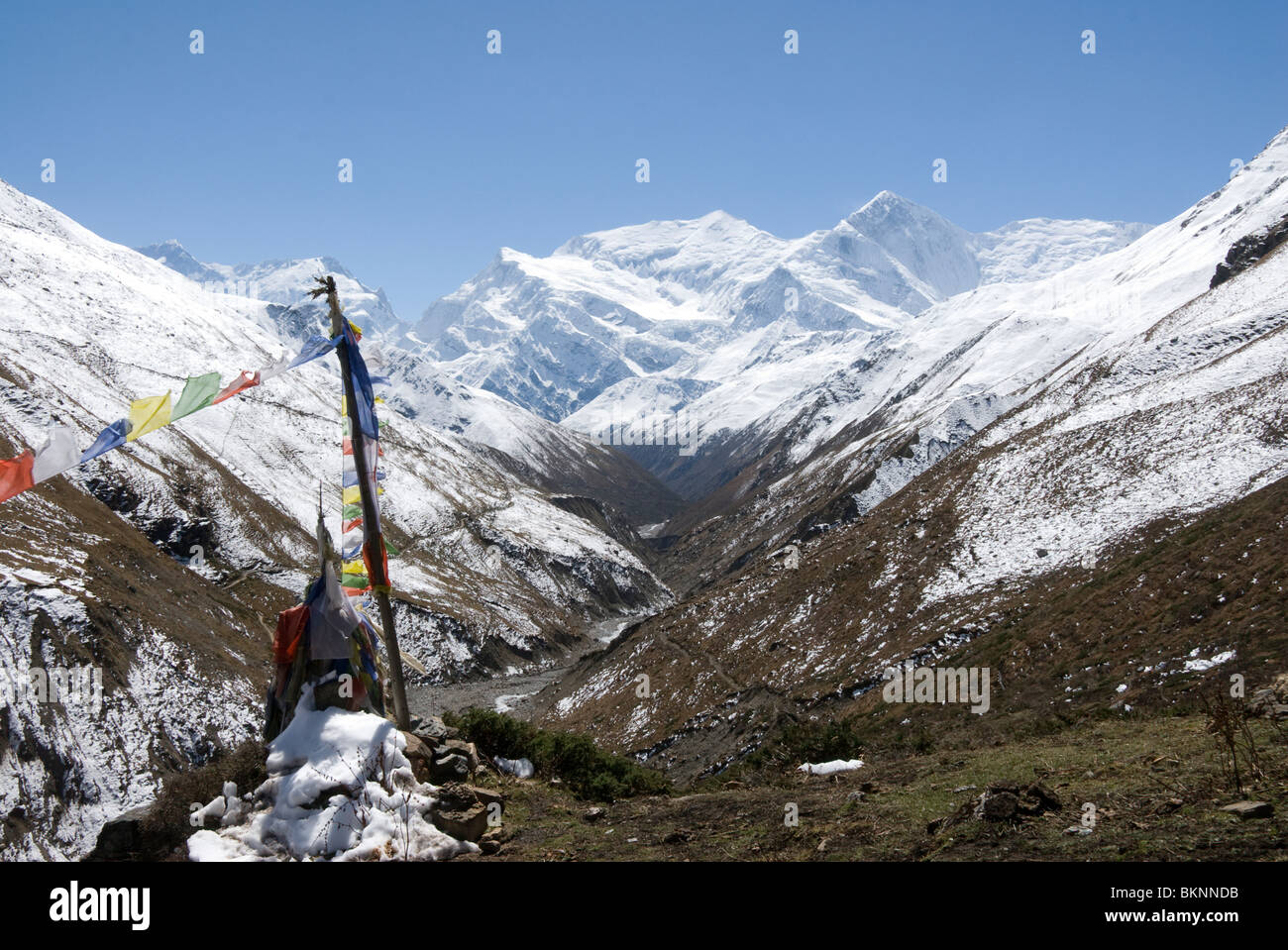 Gebetsfahnen und Schnee gekleidete Berge, Thorung Phedi, Annapurna Circuit, Nepal Stockfoto