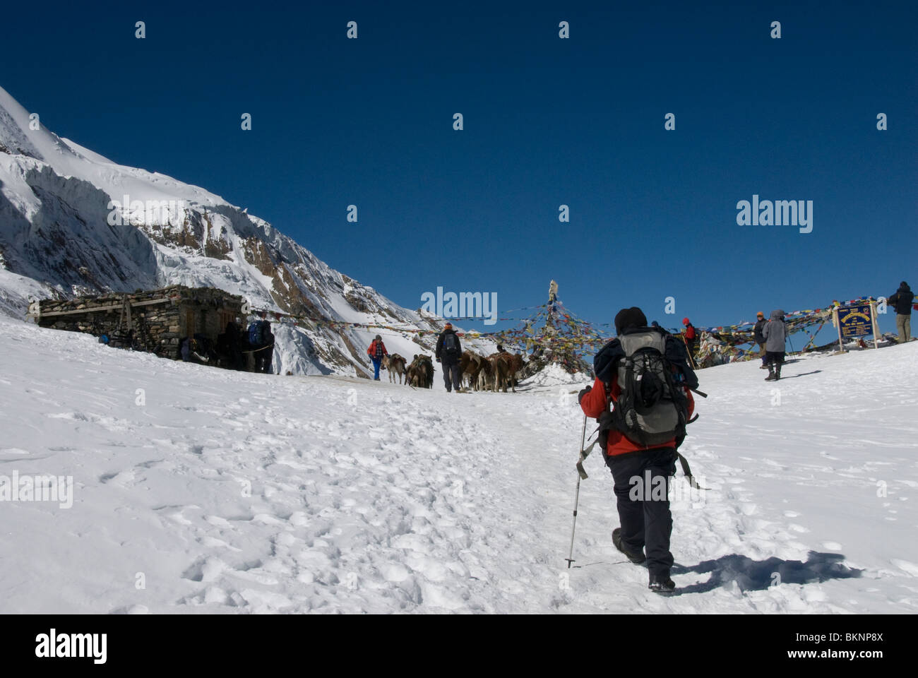Ankunft am Gipfel des Thorung La Pass (5416m), Gebetsfahnen und Schnee Trekker verkleidet Berge, Annapurna Circuit, Nepal Stockfoto