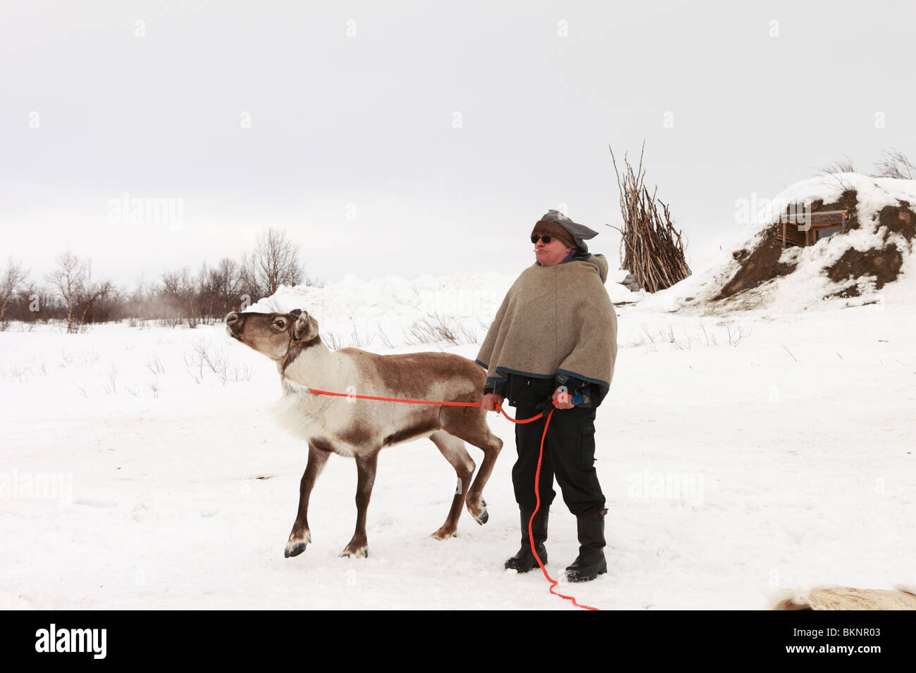 Saami Mann beim Rentier Racing World Cup, während Sámi Osterfestspiele in Kautokeino in Finnmarksvidda im arktischen Norwegen Stockfoto