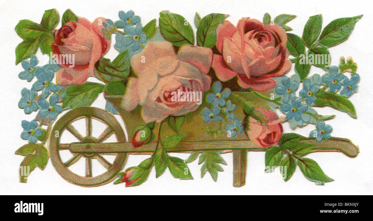 Rosa Rosen und Vergissmeinnicht in einer hölzernen Schubkarre Stockfoto