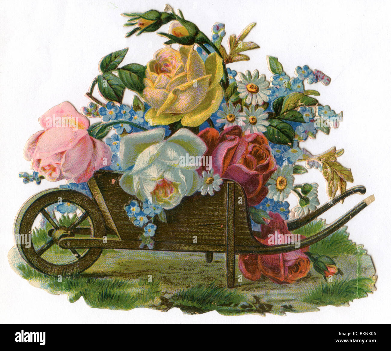 Rosen und Vergissmeinnicht in einer hölzernen Schubkarre Stockfoto