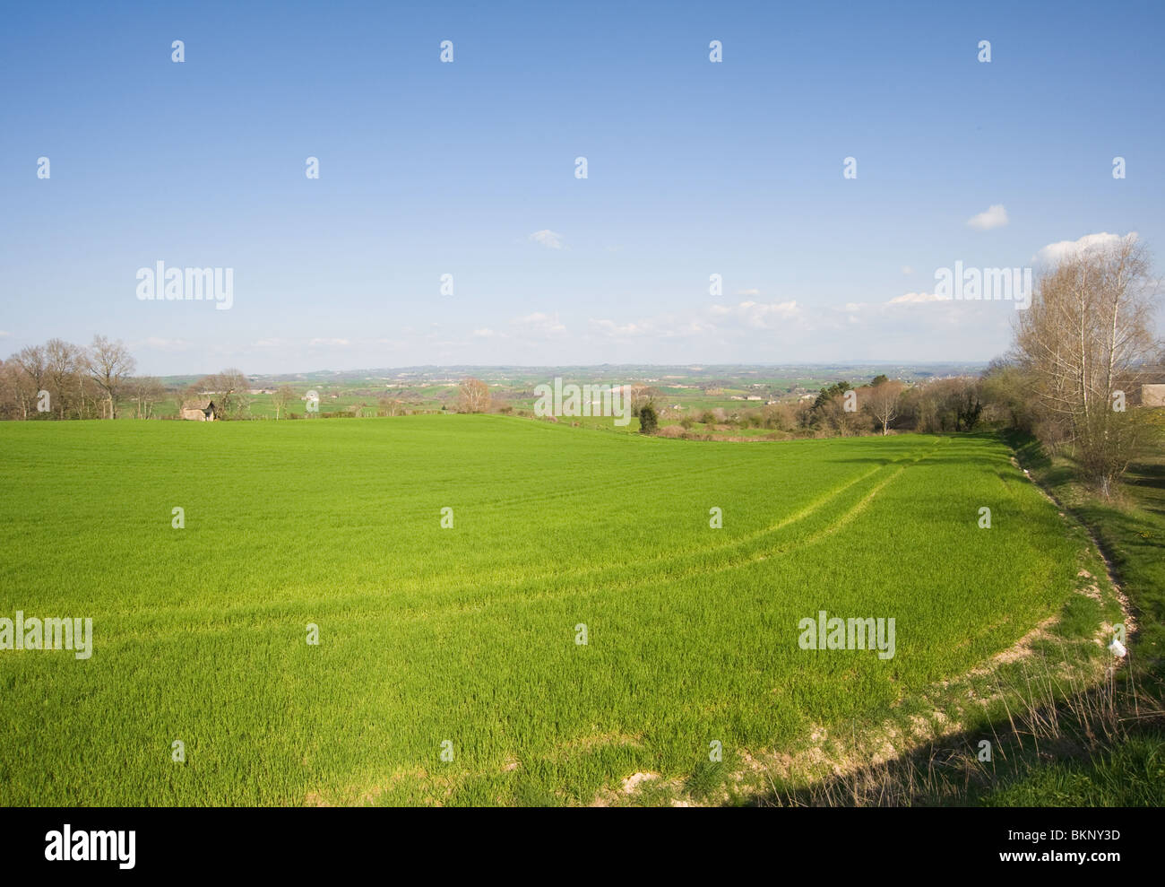 Offene Felder und Agricultural Land mit Getreide wächst in der Nähe von Pradinas Aveyron Midi-Pyrenäen-Frankreich Stockfoto