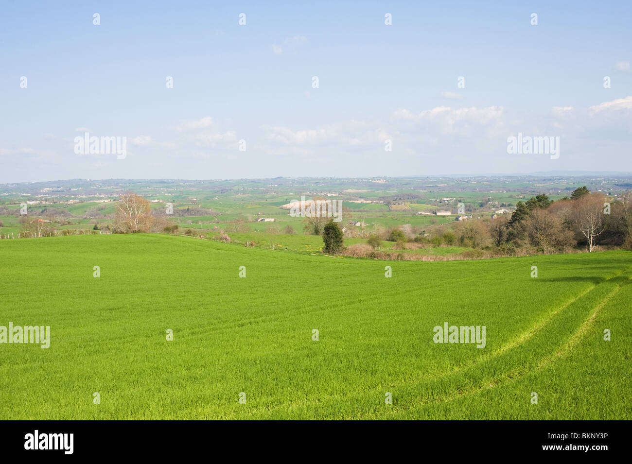 Offene Felder und Agricultural Land mit Getreide wächst in der Nähe von Pradinas Aveyron Midi-Pyrenäen-Frankreich Stockfoto