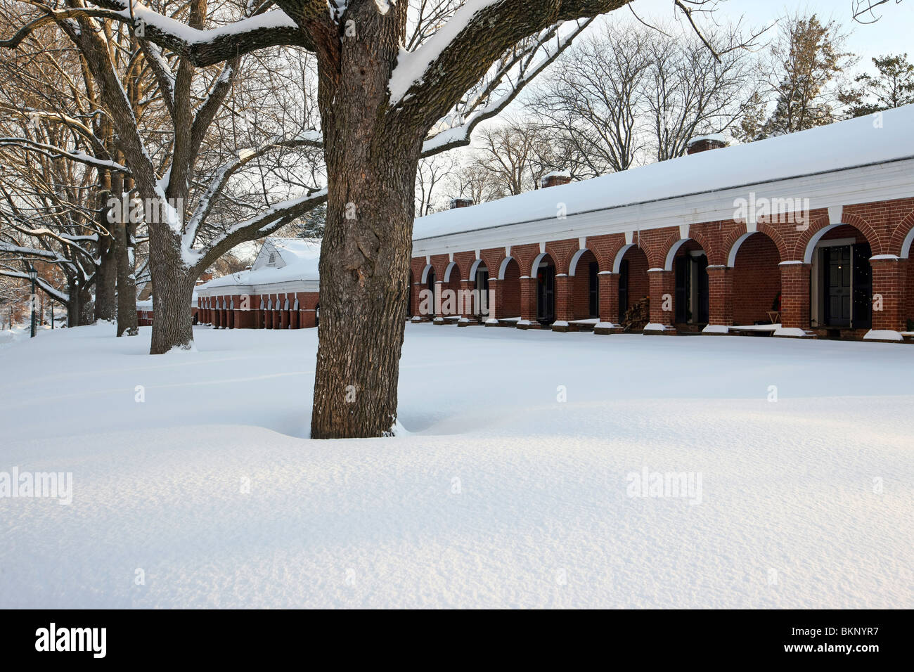 Schneefall in Virginia. Stockfoto