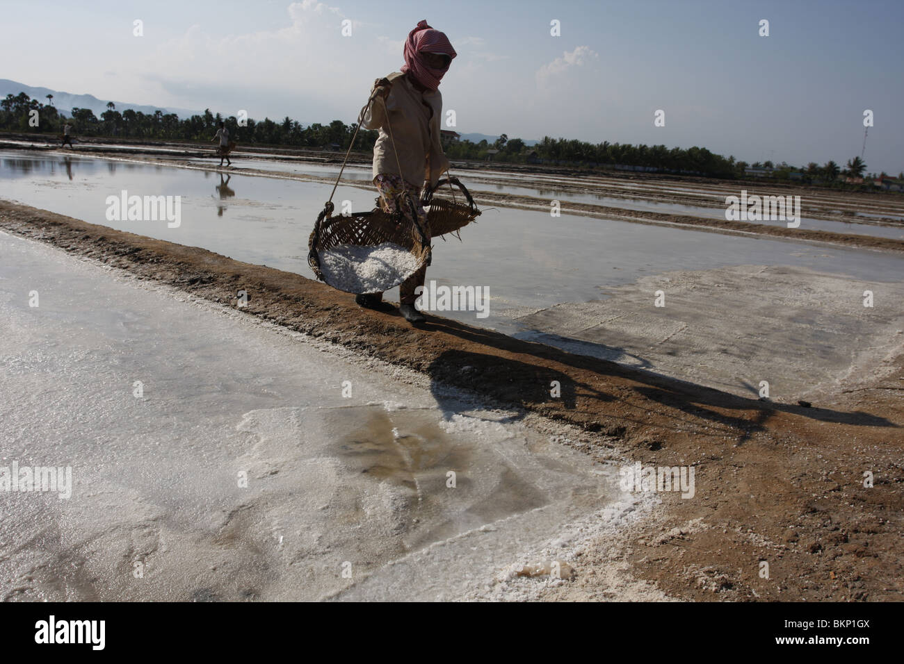 Eine Frau trägt gefüllten Körbe auf dem Salz Bauernhof in der Nähe von Kampot, Kambodscha Stockfoto