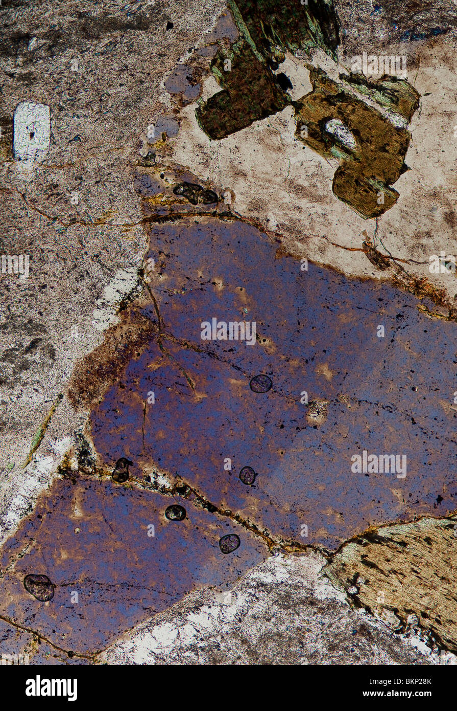 Ordovician Granit Felsen Probe aus Shap, Cumbria, England fotografiert um Mineralfarben in polarisiertem Licht zeigen Stockfoto