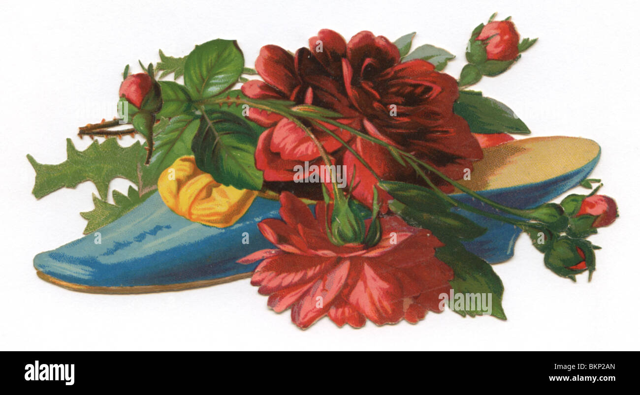Blaue Schuhe mit roten Blüten Stockfoto