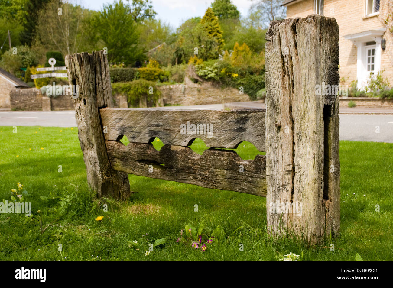 Hölzerne Altbestände an Glympton, in der Nähe von Woodstock, West Oxfordshire. Stockfoto