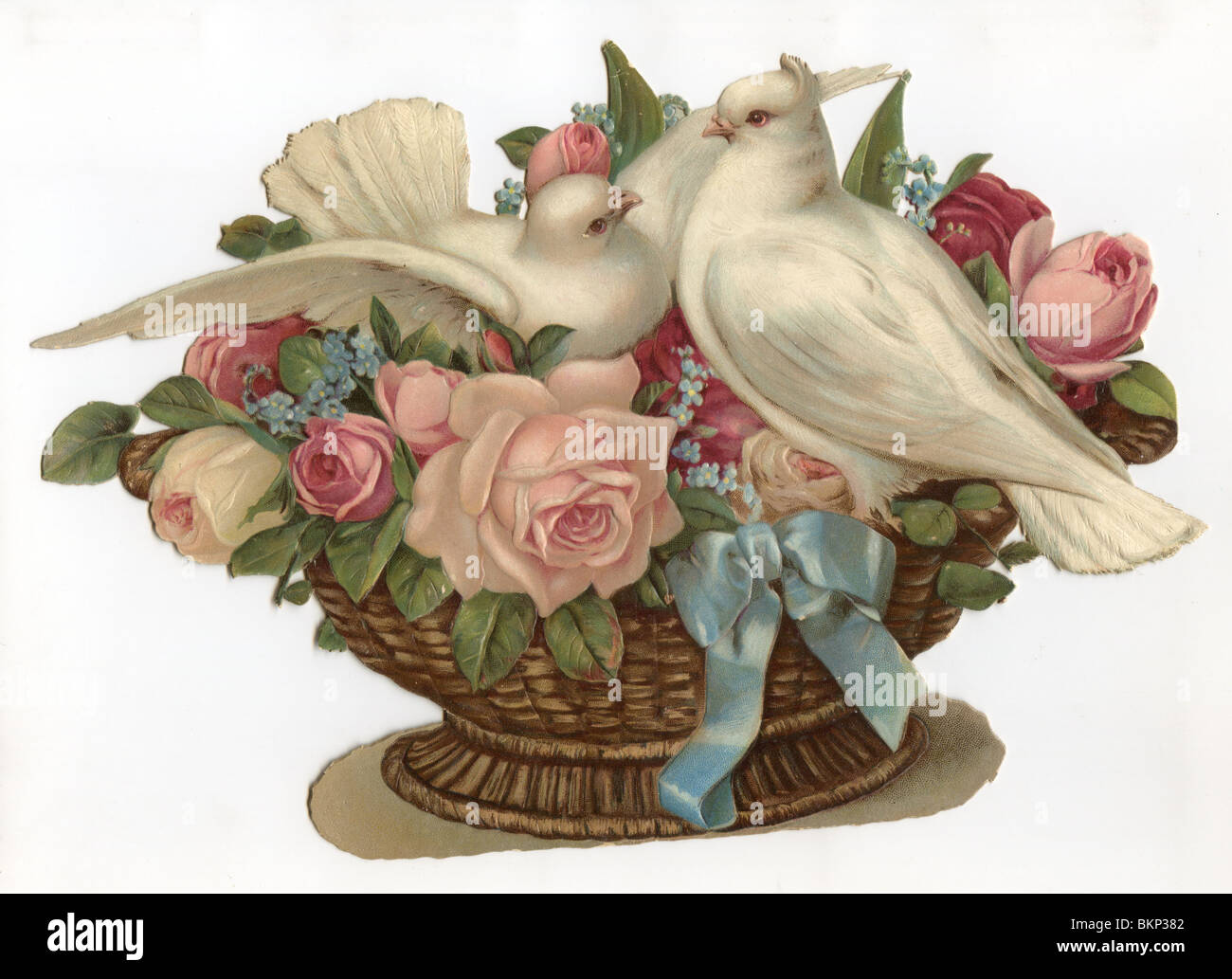 Weiße Tauben in einem Weidenkorb mit Rosen Stockfoto