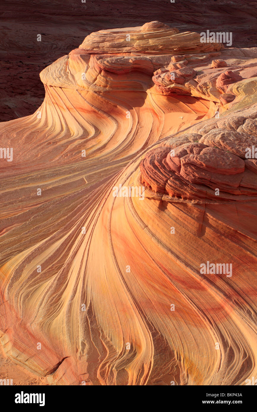 Abstrakte Muster auf erodierten Sandstein-Formationen im Vermilion Cliffs National Monument Stockfoto