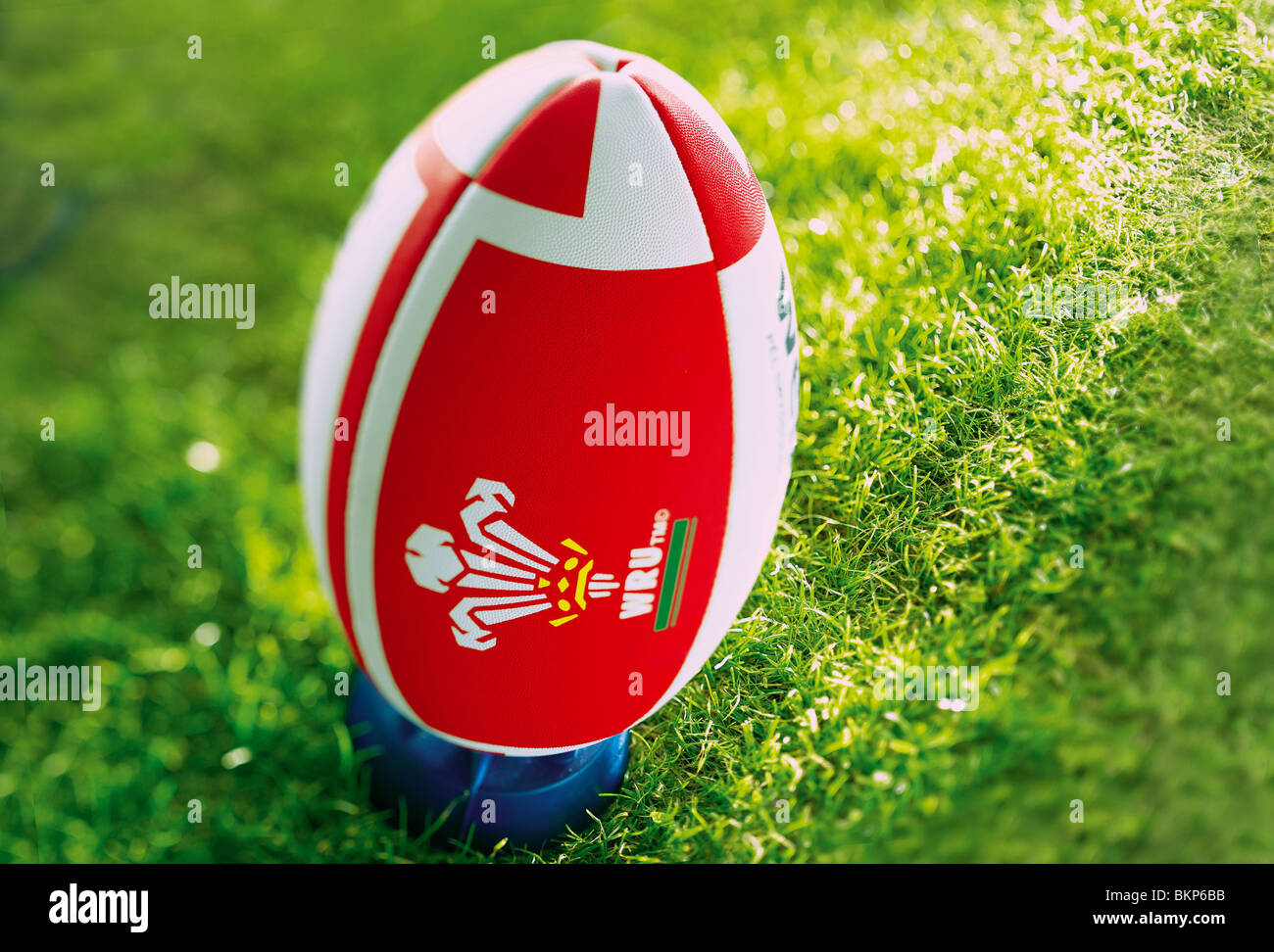 Rugby-Union-Ball Stockfoto