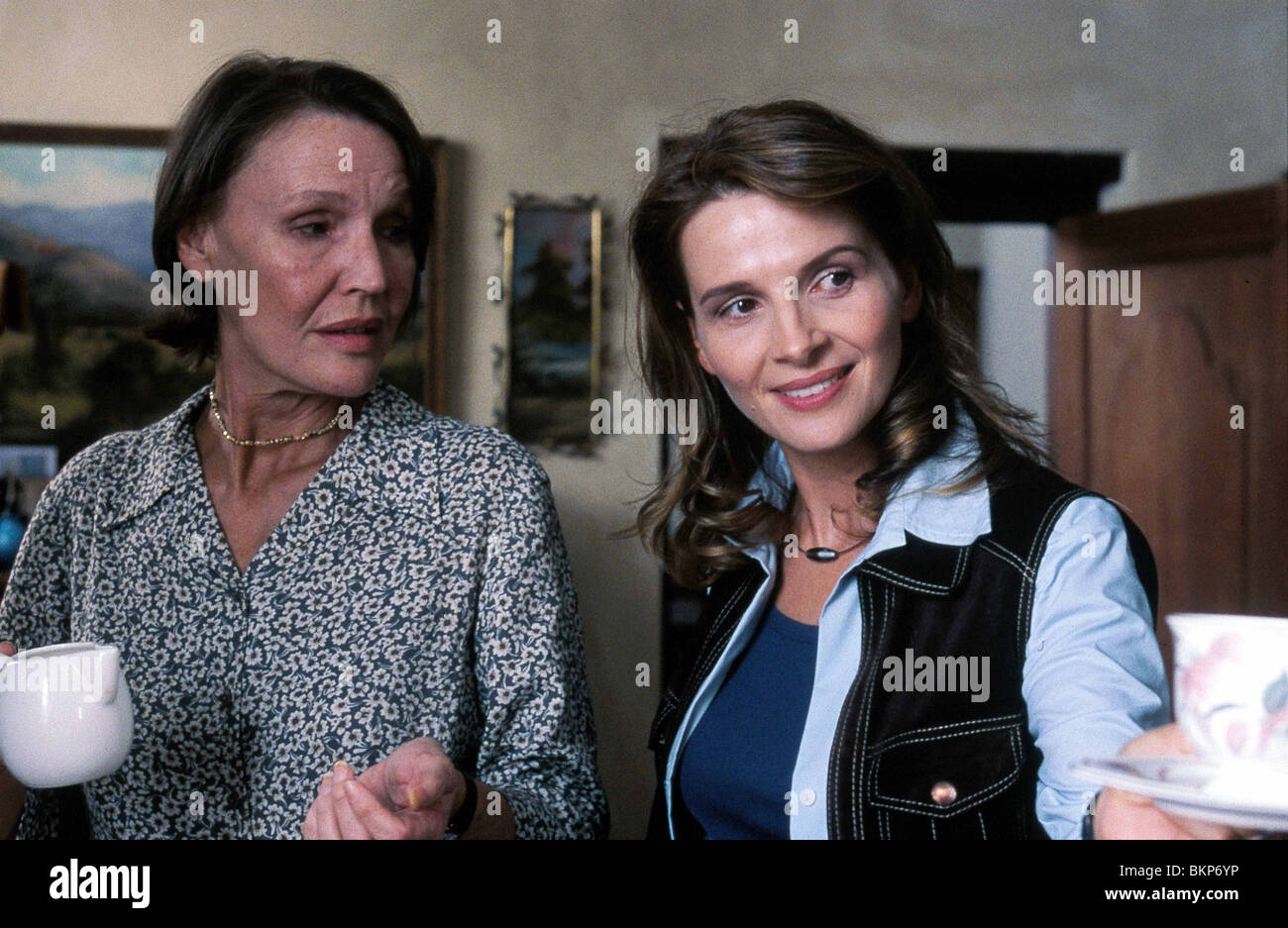 IN MEINEM LAND (2004) VON MEINEM SCHÄDEL (ALT) ALETTA BEZUIDENHOUT, JULIETTE BINOCHE INMC 001-03 Stockfoto