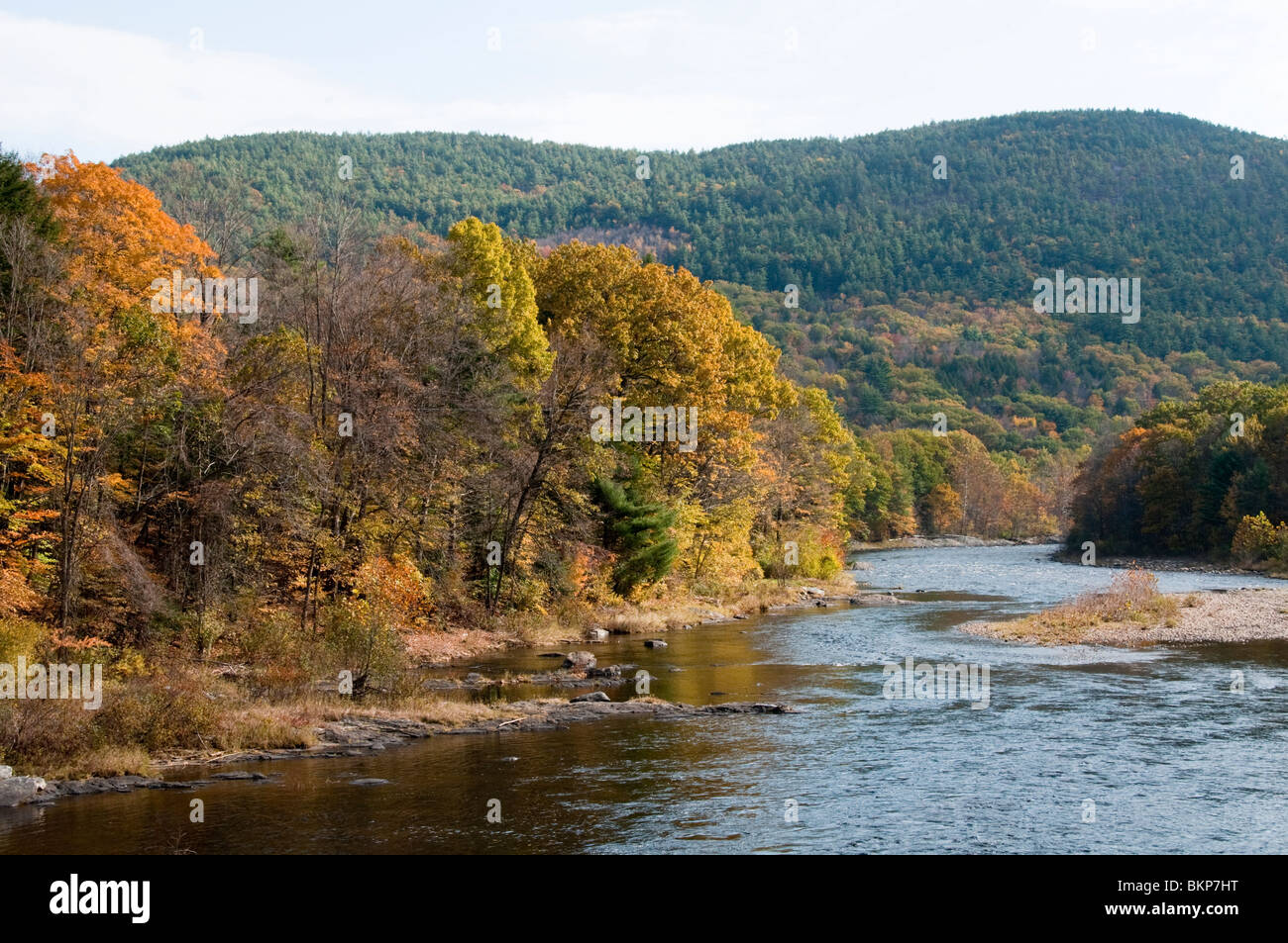Connecticut River, Herbst Farbe, Farbe, Farben, Laub, Vermont, New England, USA Stockfoto