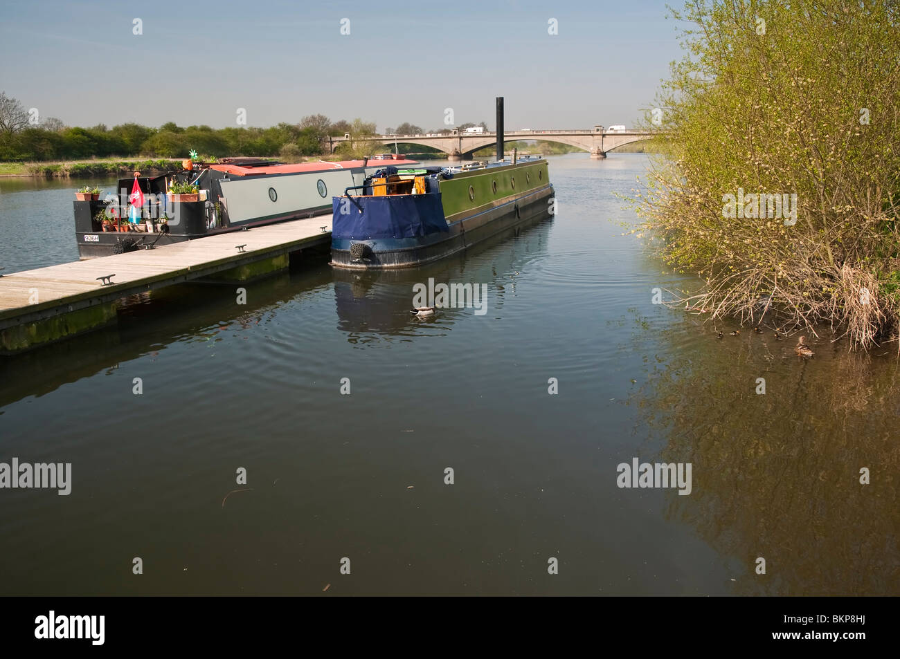 Flussschiffe auf der Trent Gunthorpe Brücke. Es ist ein Wirtshaus und Geschäfte in der Nähe von so ist dies ein beliebter Ankerplatz. Stockfoto