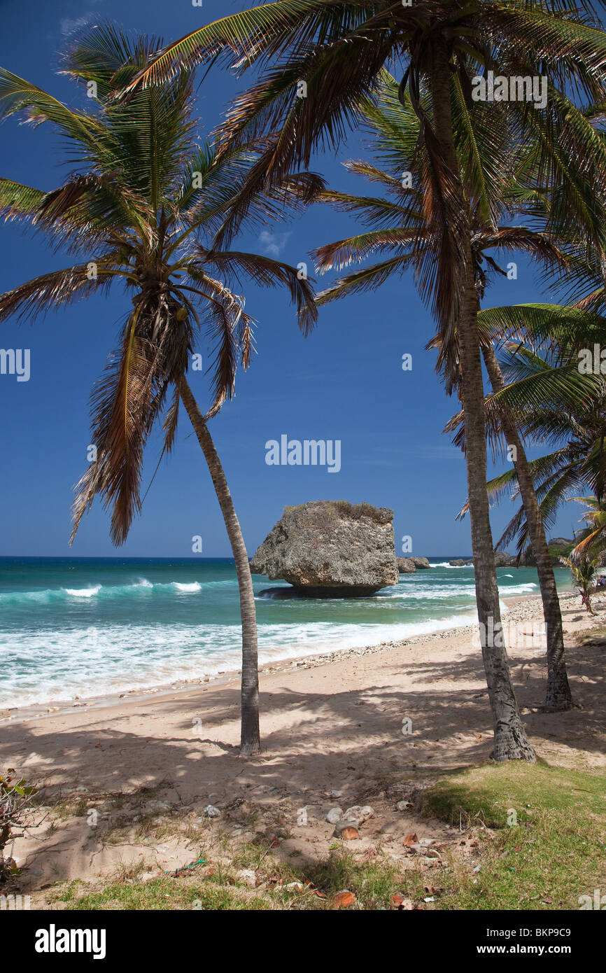 Bathsheba, Ostküste, Barbados, Caribbean Stockfoto