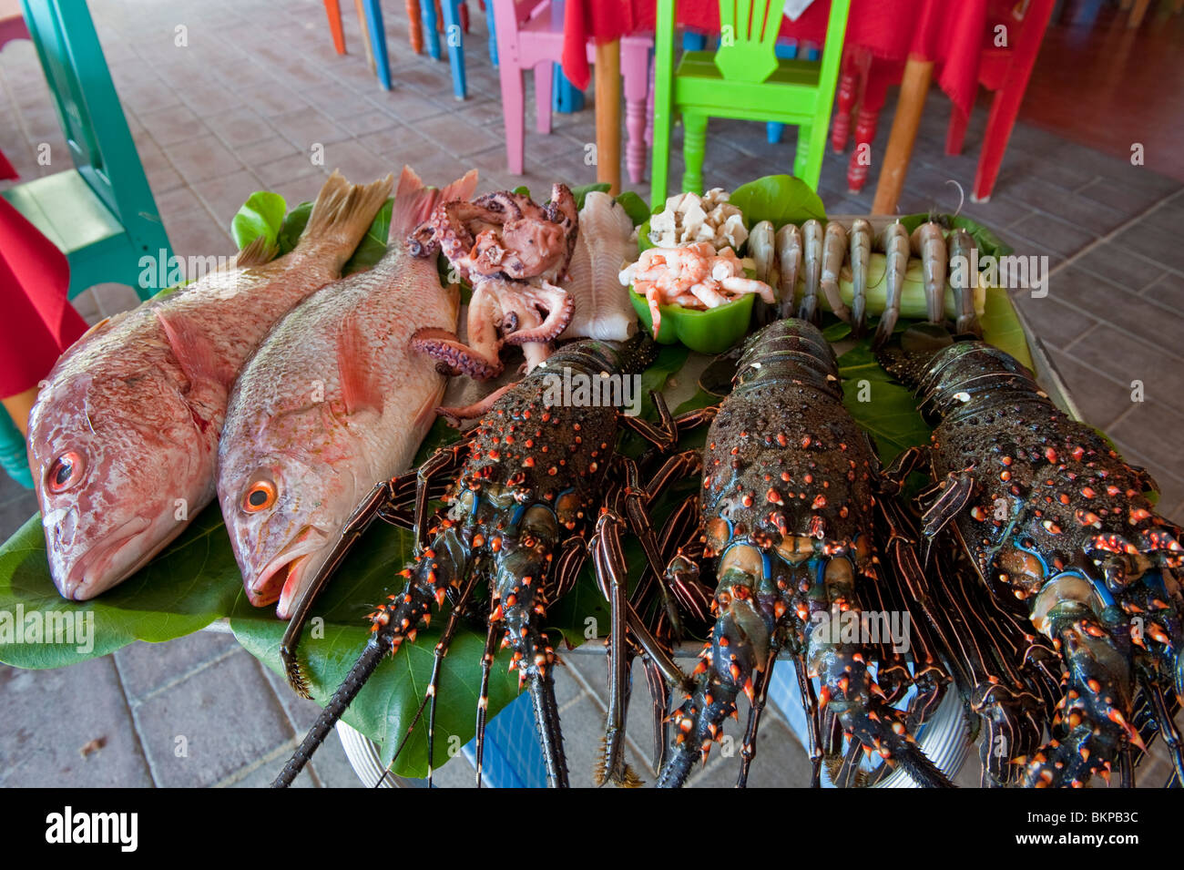 Eine Auswahl an mexikanischen Meeresfrüchte am Display, Santa Cruz, Huatulco, Mexiko Stockfoto