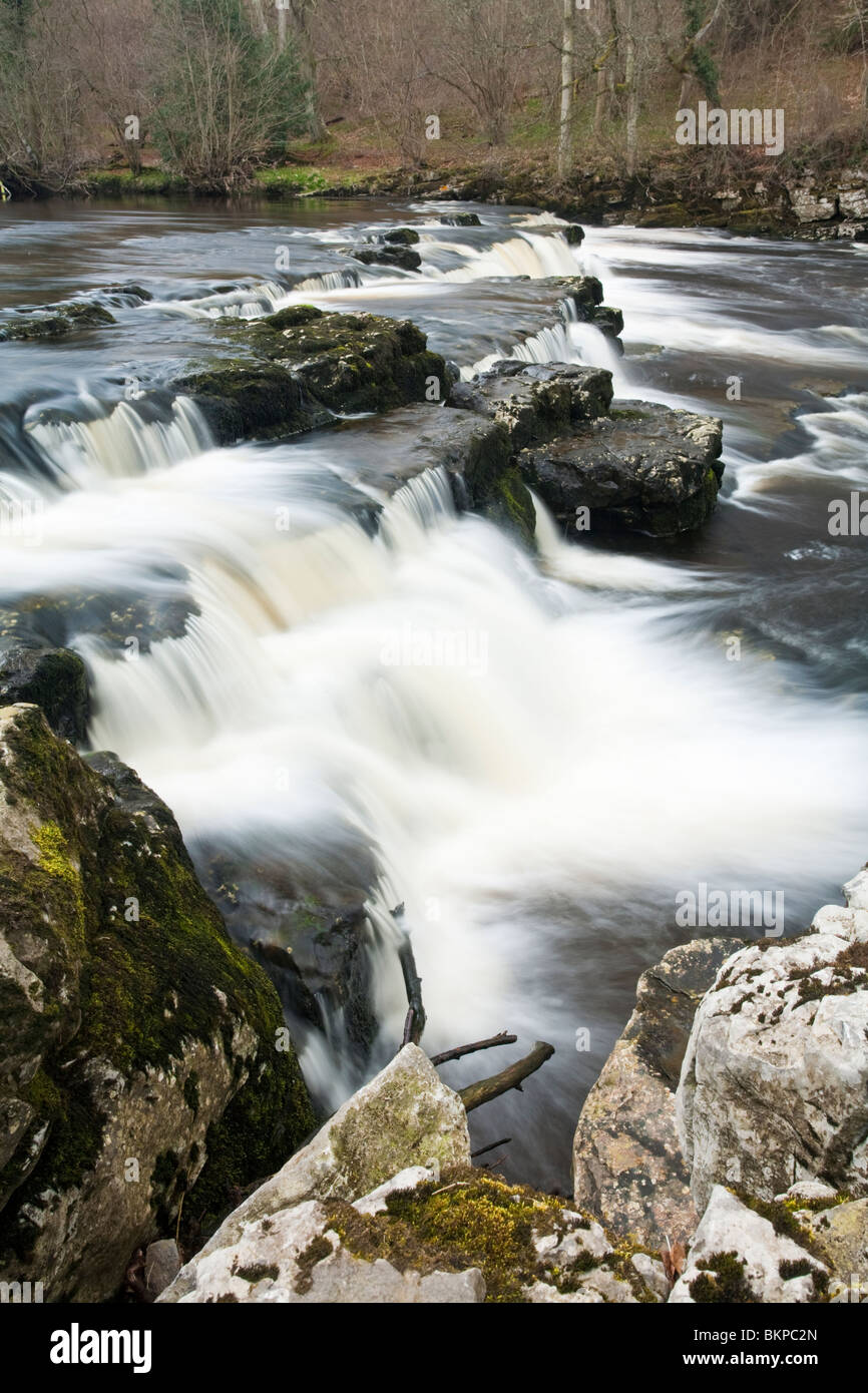 Redmire Kraft am Fluß Ure, Redmire, Wensleydale, Yorkshire Dales National Park, Uk Stockfoto