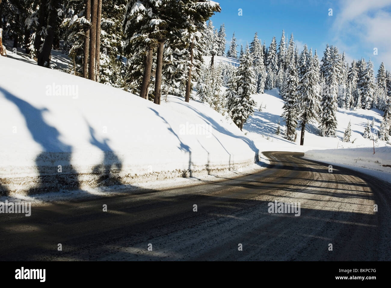 Oregon Cascades, Oregon, Vereinigte Staaten von Amerika; A Road und frischen Winterschnee am Mount Hood Stockfoto