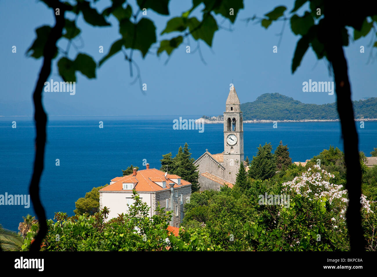Kroatien, Elafiti Inseln, Lopud Insel Stockfoto