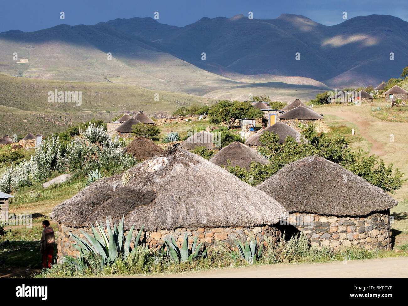 Traditionelle Basotho Rondoval Haus aus Stein mit einem Strohdach in Lesotho, Südafrika Stockfoto