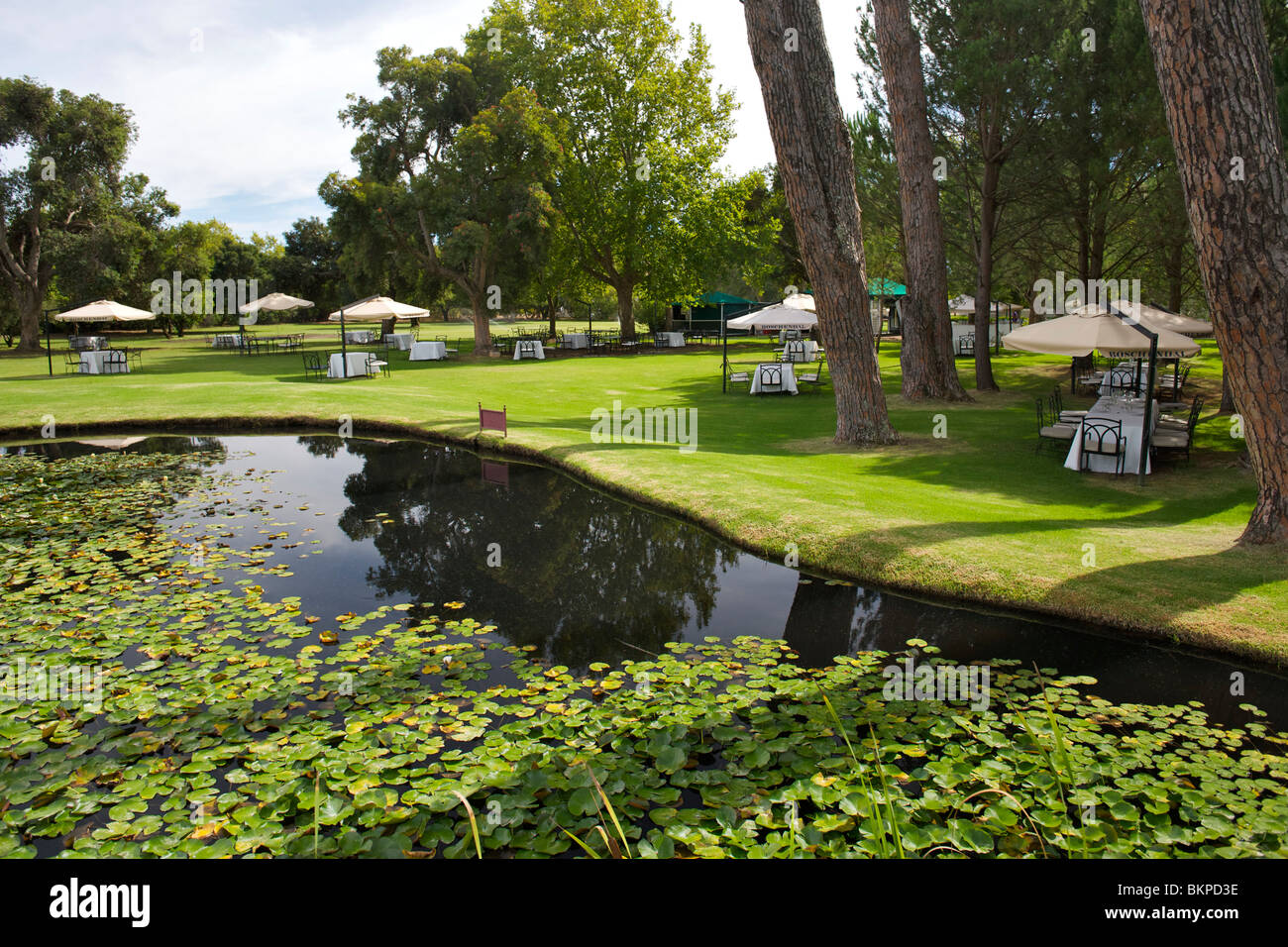 Picknick-Tische in den Gärten der Boschendal Weingut in Franschhoek. Stockfoto