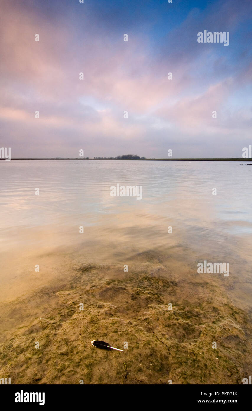 Oeverlanden Hollands Diep Tijdens Zonsondergang; Oeverlanden Hollands Diep Naturschutzgebiet bei Sonnenuntergang Stockfoto