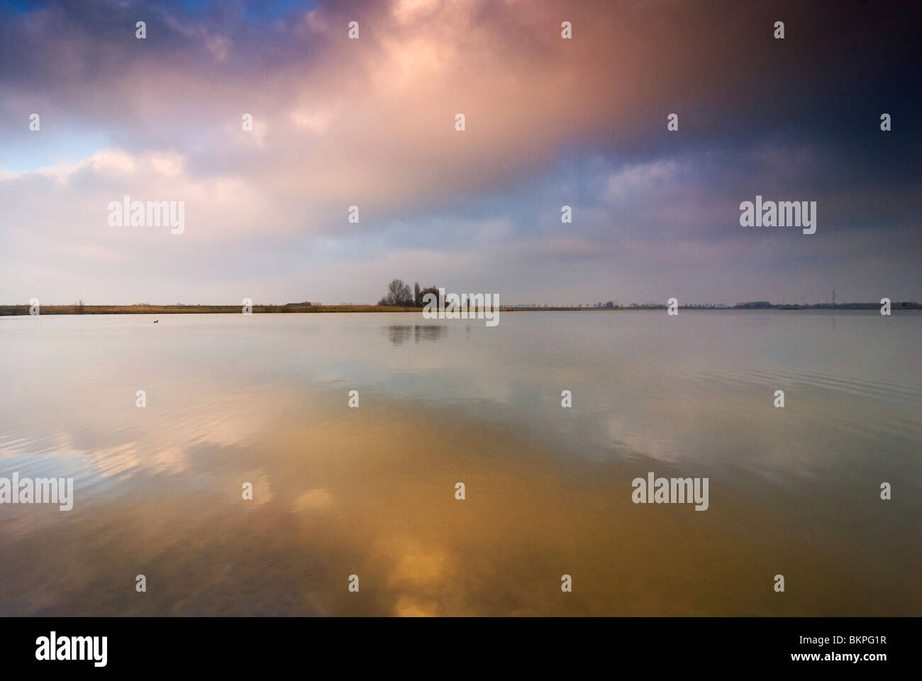 Oeverlanden Hollands Diep Tijdens Zonsondergang; Oeverlanden Hollands Diep Naturschutzgebiet bei Sonnenuntergang Stockfoto