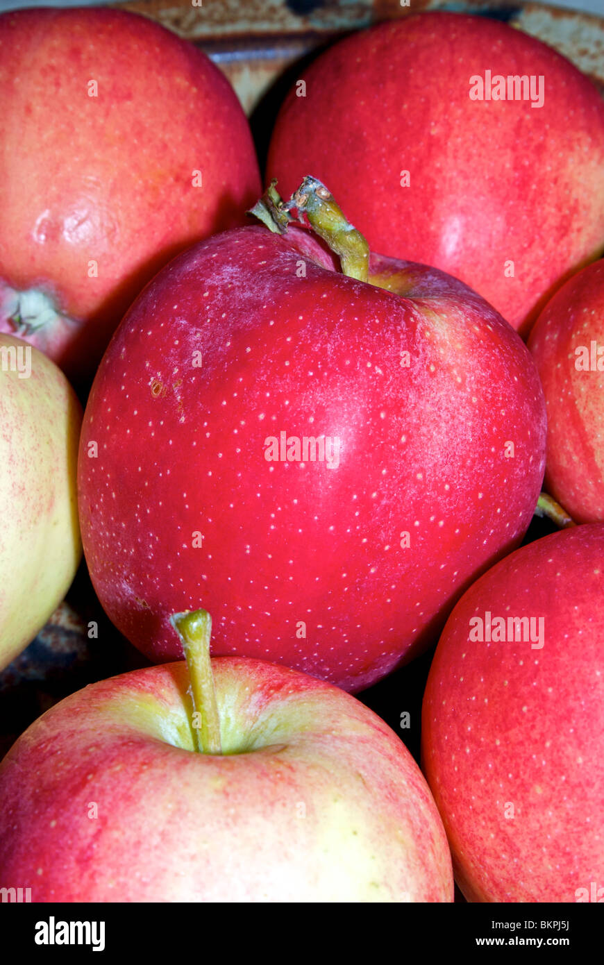 Schüssel von Reifen Gala Äpfeln Stockfoto