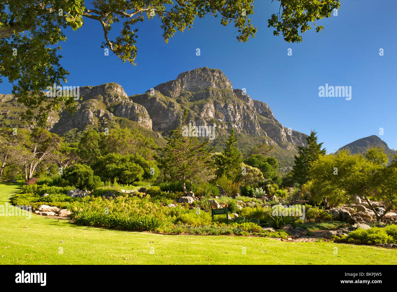 Ansicht der Kirstenbosch Botanical Gardens und die Rückseite der Tafelberg in Kapstadt, Südafrika. Stockfoto