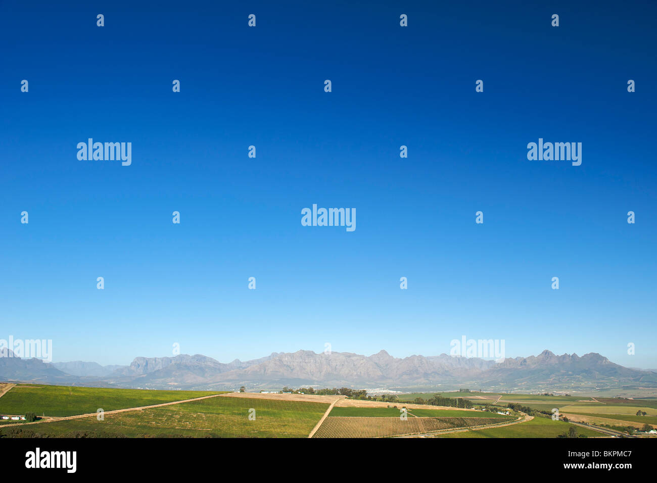 Blick über die Weinberge des Stellenbosch Distrikt, Provinz Westkap, Südafrika. Stockfoto