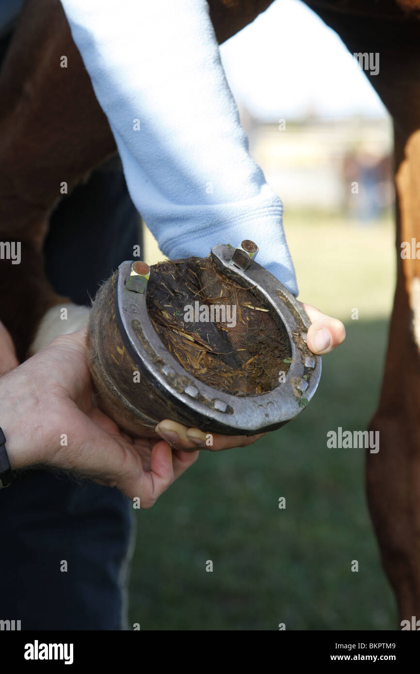 Schraubstollen Anbringen / stud Stockfoto
