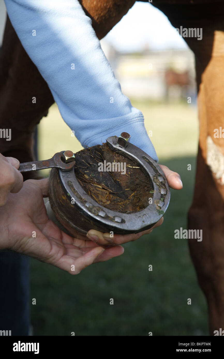 Schraubstollen Anbringen / stud Stockfoto