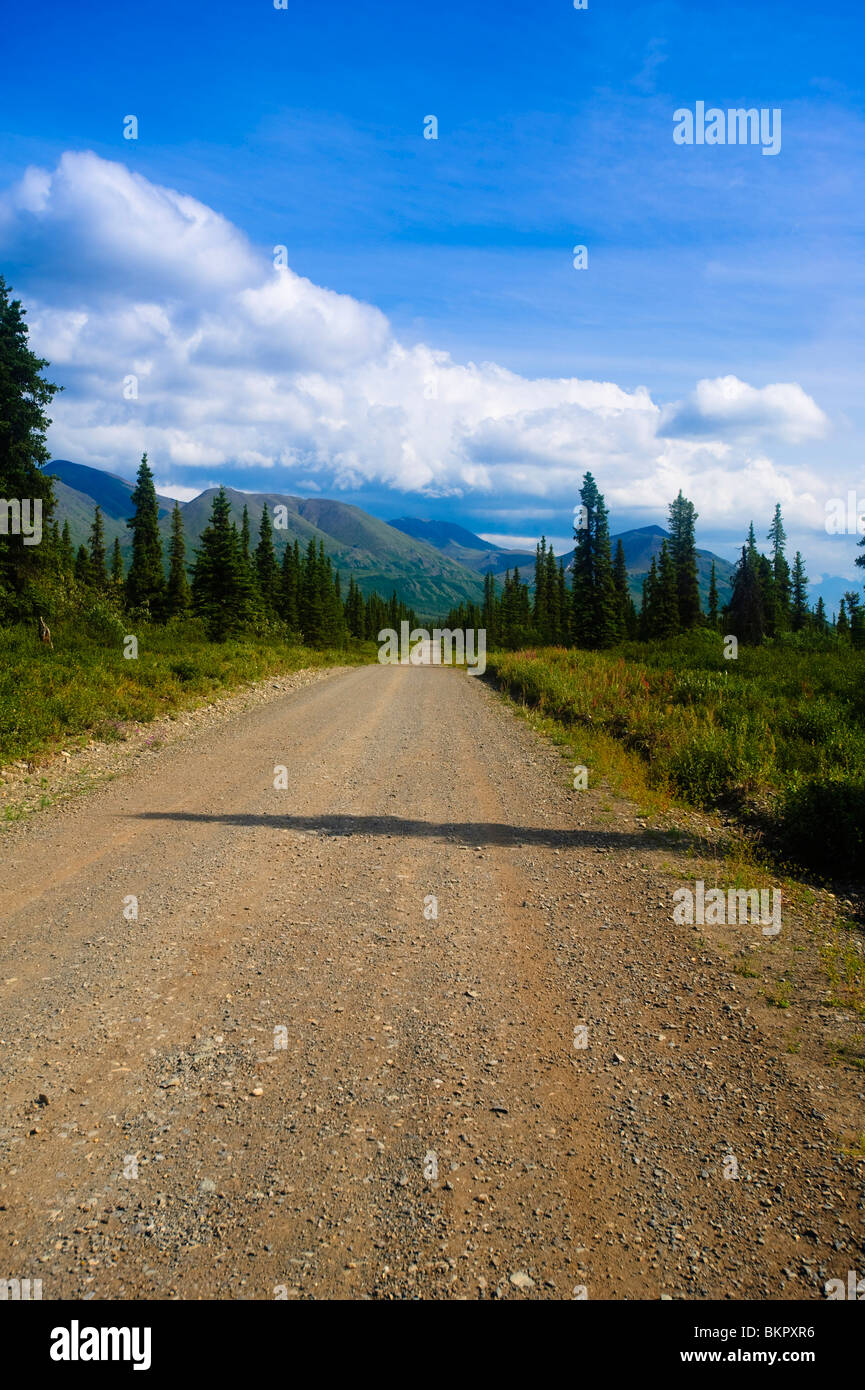 Malerische Aussicht von Boyden Hügel von Nabesna Road, Wrangell-St.-Elias-Nationalpark, Yunan Alaska, Sommer Stockfoto