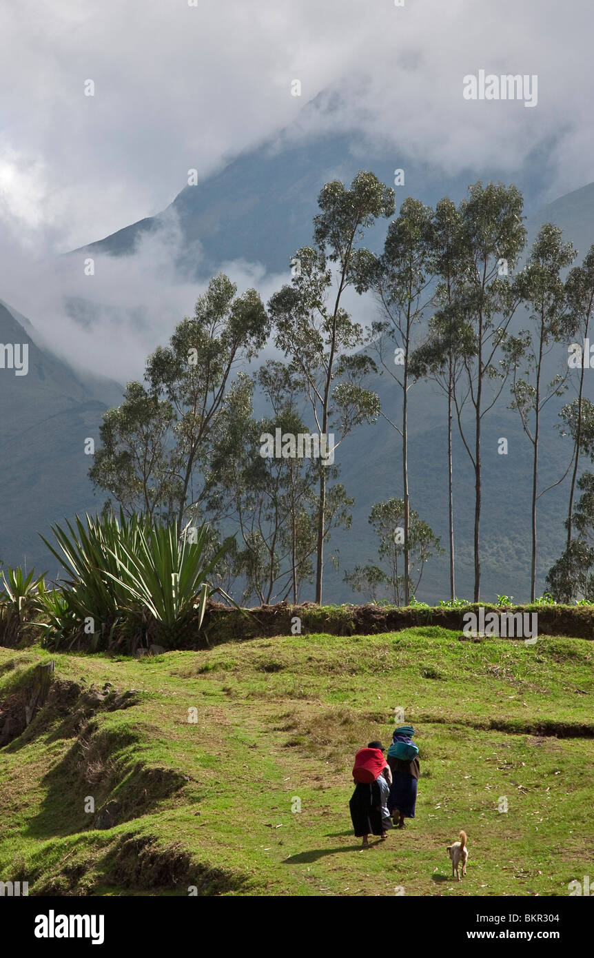 Ecuador, Homeward bound in der Nähe von Otavalo. Stockfoto