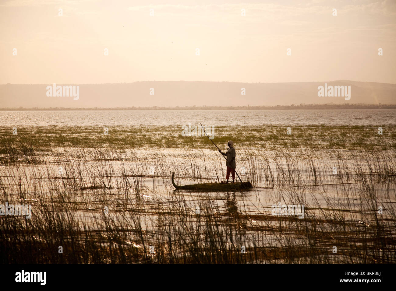 Äthiopien, See Awassa. Ein Mann flache eine traditionelle Reed Tankwa durch das Schilf bei Sonnenuntergang. Stockfoto