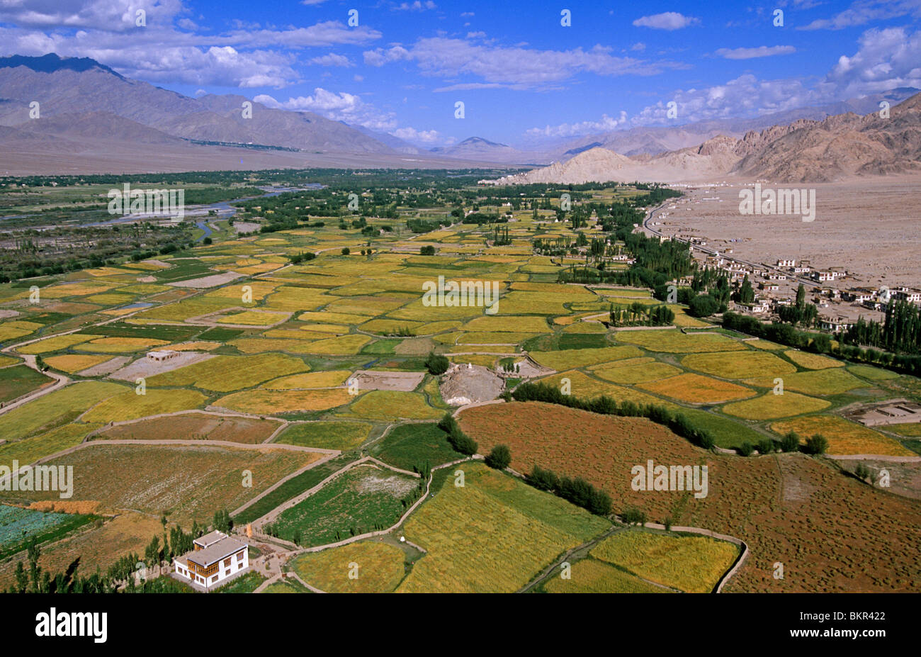 Ansicht des Indus-Tales von Thikse Kloster, Ladakh, Nord-West-Indien Stockfoto
