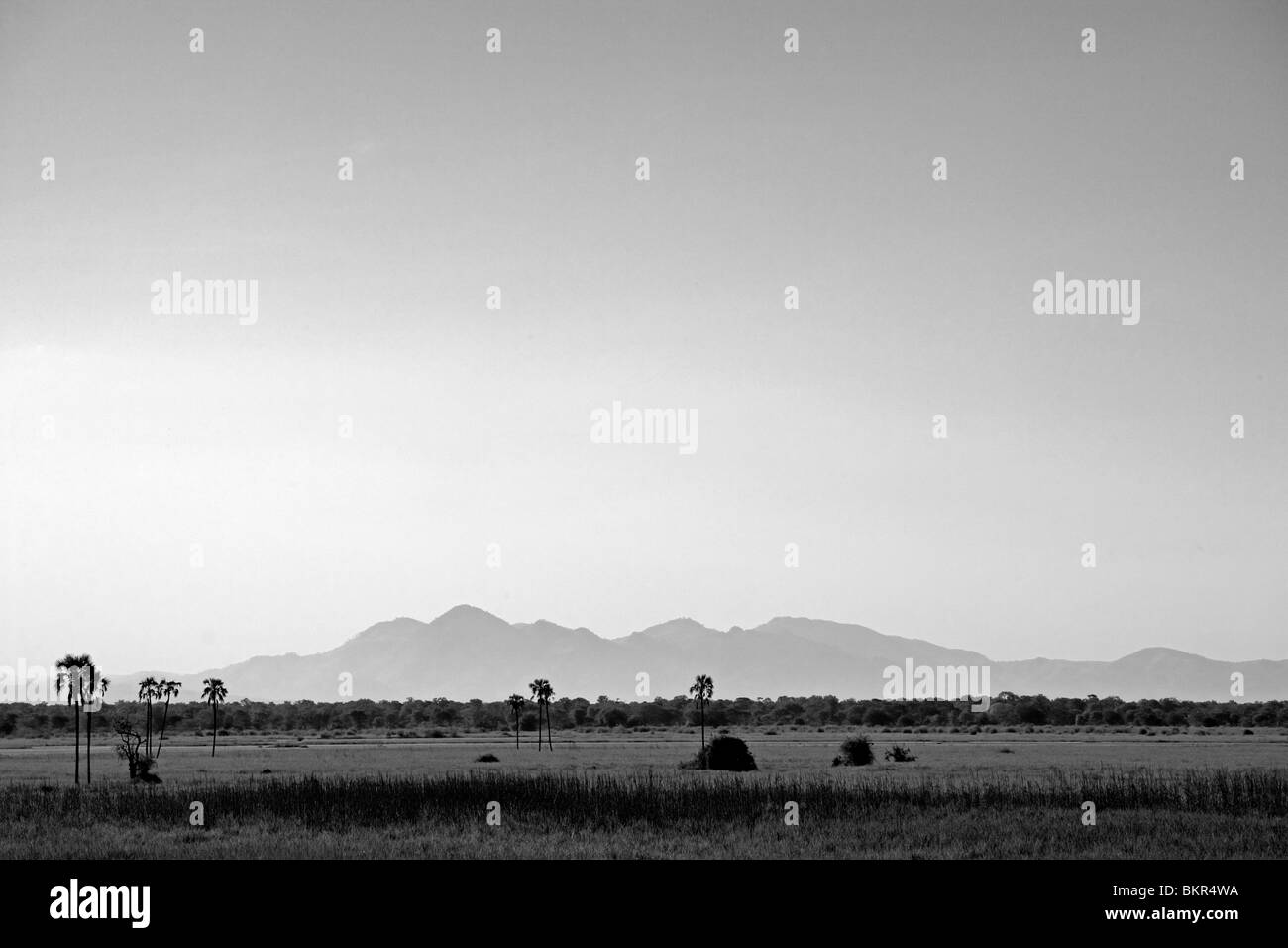 Malawi, obere Shire-Tal, Liwonde Nationalpark. Die weiten Auen des Flusses Shire. Stockfoto