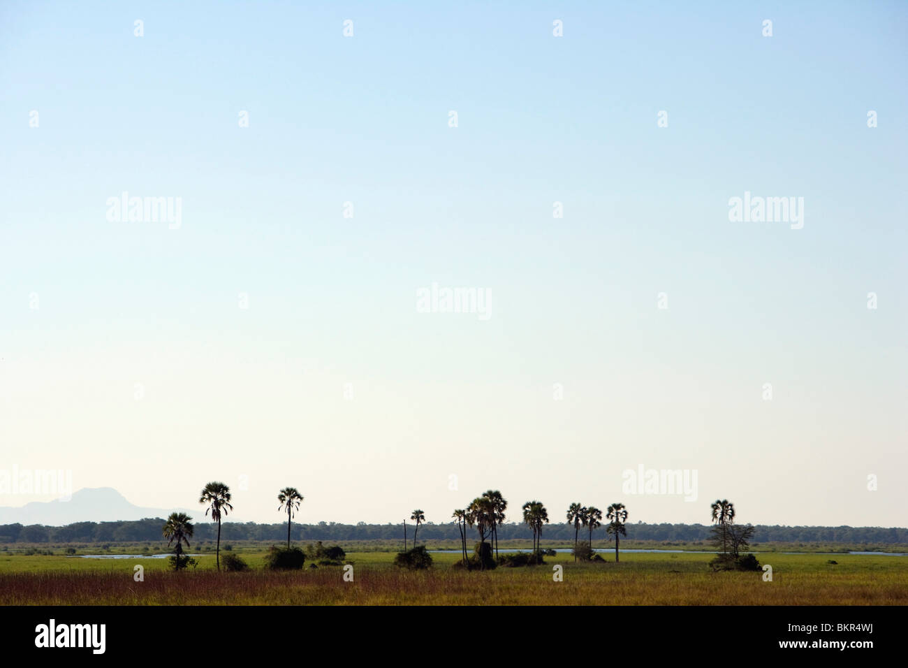 Malawi, obere Shire-Tal, Liwonde Nationalpark. Die weiten Auen des Flusses Shire. Stockfoto