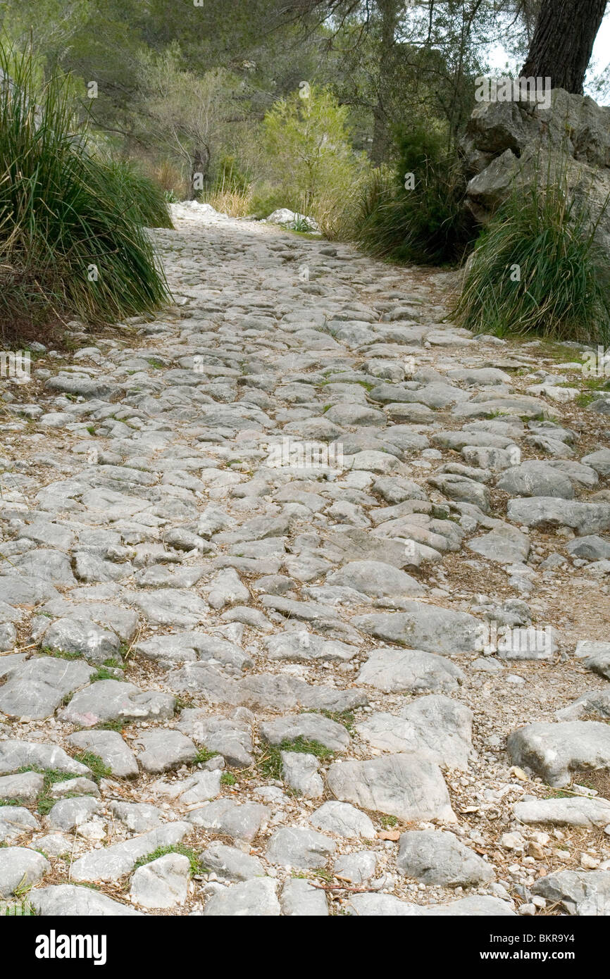 Ein Teil der mittelalterlichen Pilgerweg zum Kloster Lluc (Mallorca - Spanien). Partie du Chemin de Pèlerinage vers Lluc. Stockfoto