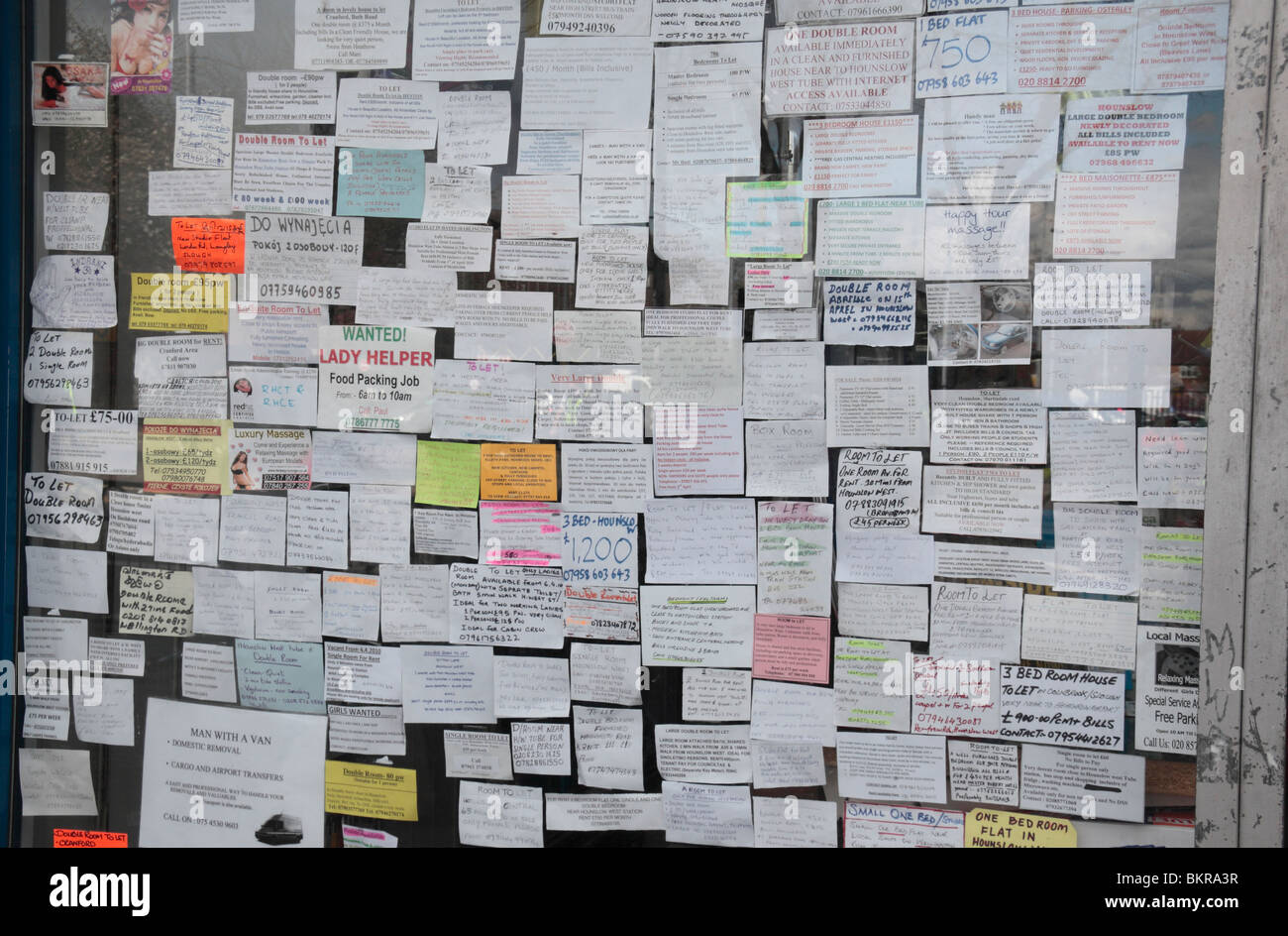 Eine Tafel voller Kleinanzeigen in einem Zeitungsladen Schaufenster in Hounslow West, Middx, UK. Stockfoto