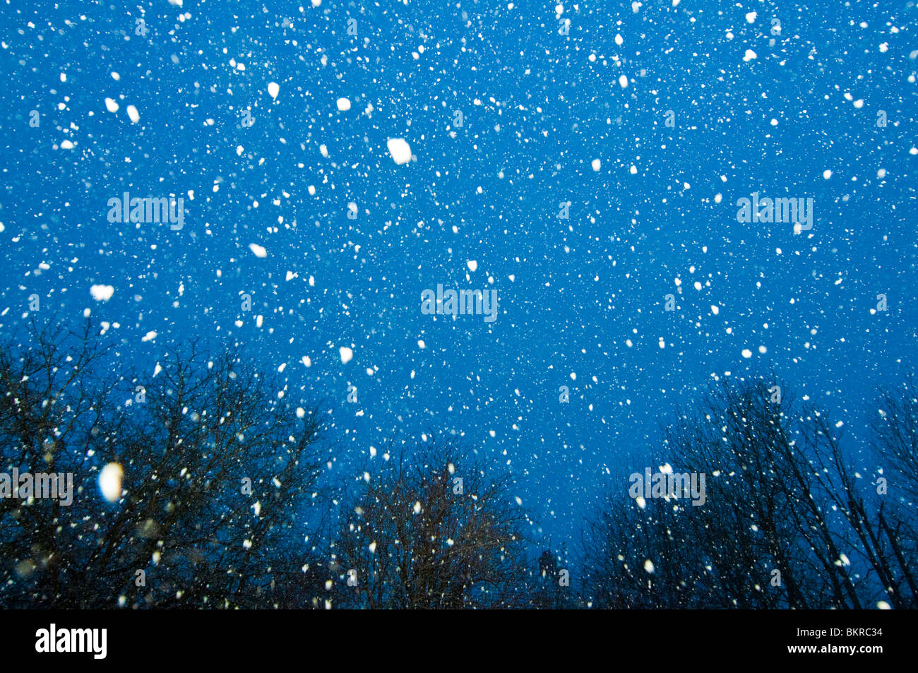 Schneeflocken fallen im Himmel Stockfoto