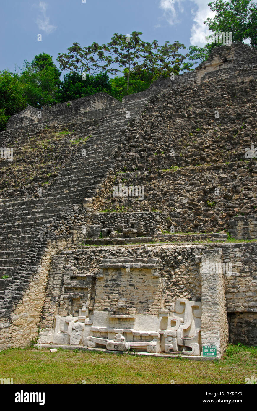 Relief und Pyramide, Caracol Ruinen, Maya Mountains, Cayo District, Belize, Mittelamerika Stockfoto