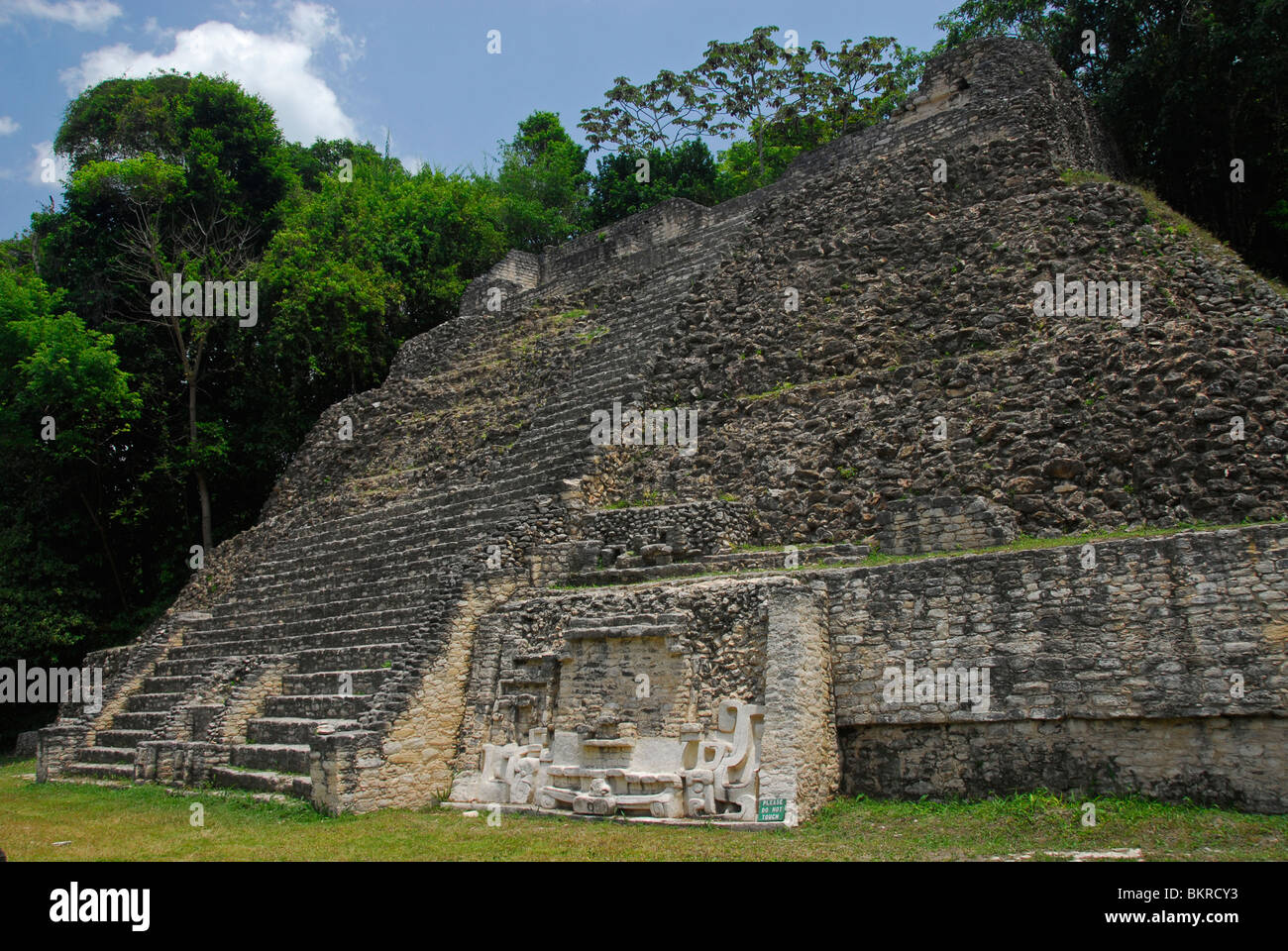 Caracol Ruinen, Maya Mountains, Cayo District, Belize, Mittelamerika Stockfoto