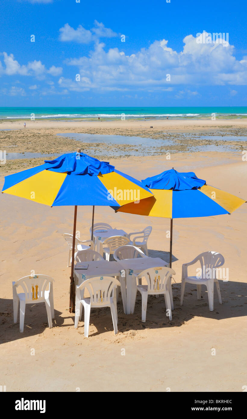 Beach Bar Pipa Stadtstrand Brasilien Stockfoto