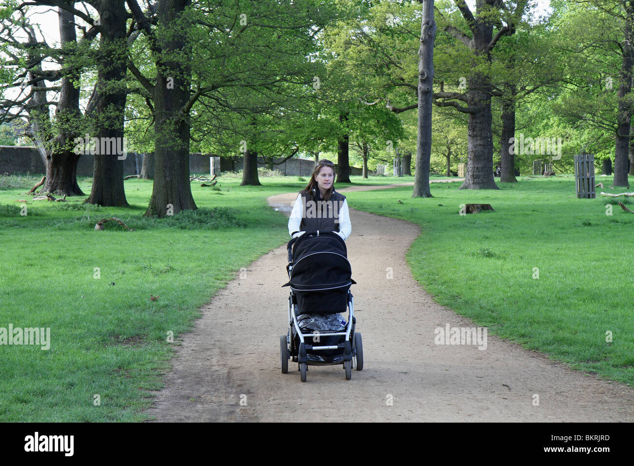 Junge Mutter, zu Fuß und schob einen Kinderwagen in Richmond Park in Kingston upon Thames in der Nähe von London Stockfoto