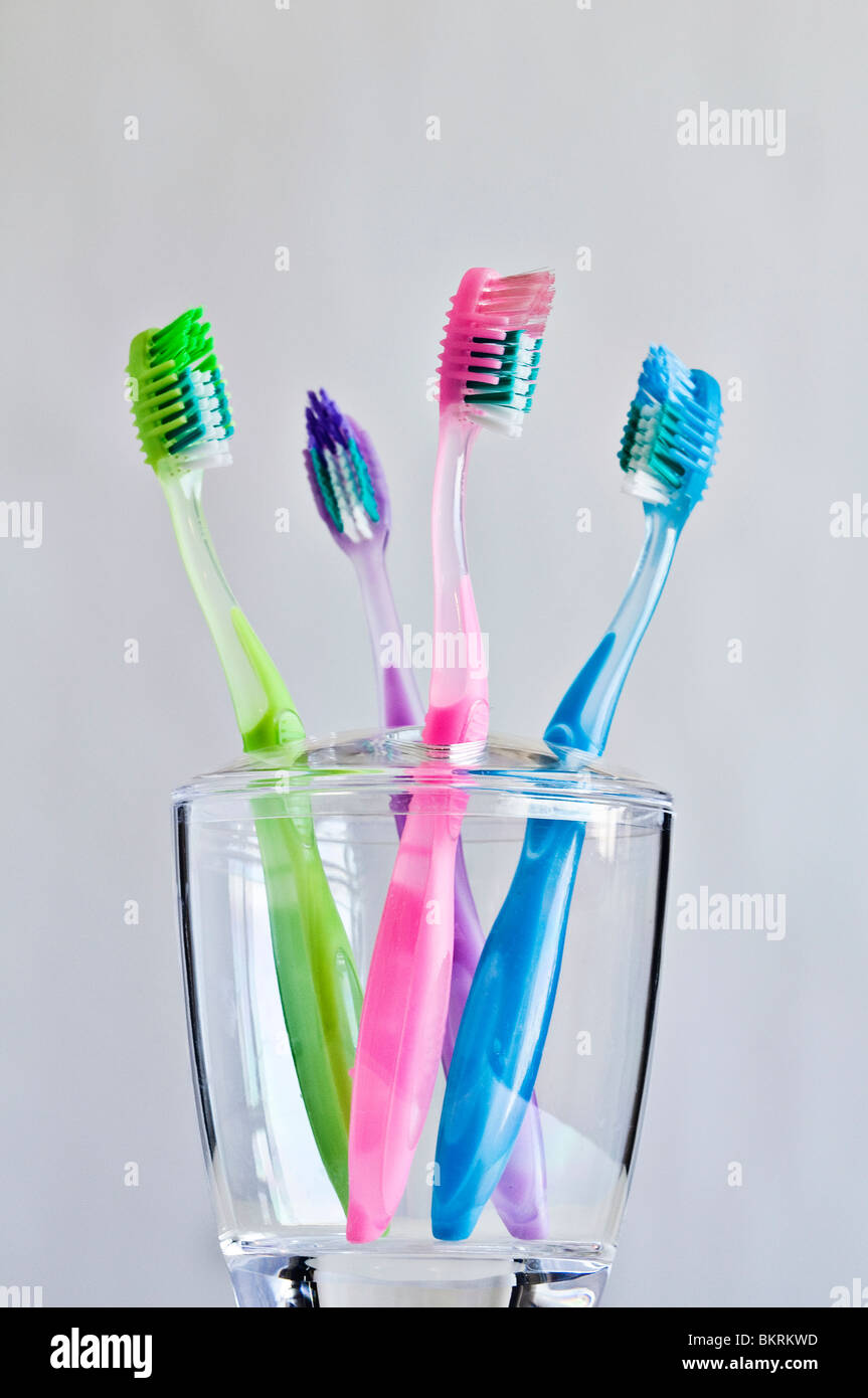 Vier verschiedene farbige Zahnbürsten in Familie Zahnbürstenhalter. Stockfoto