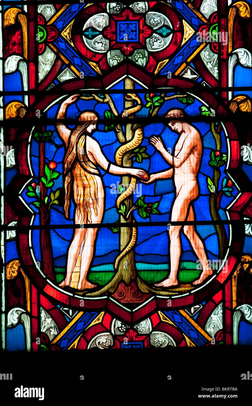 Glasfenster von Adam und Eva in der mittelalterlichen Kathedrale von Lincoln, England. Stockfoto